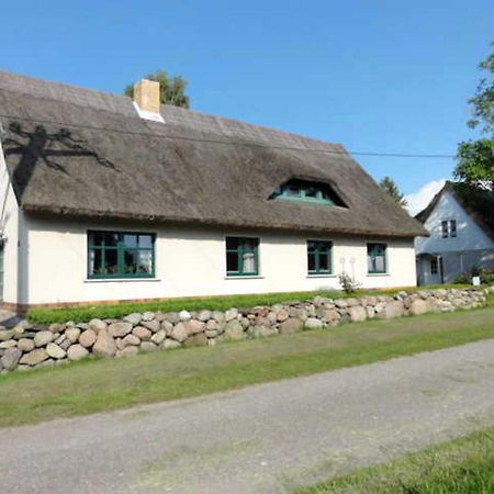 Reetdachhaus "Landhaus Ulrich" Lubkow Dış mekan fotoğraf